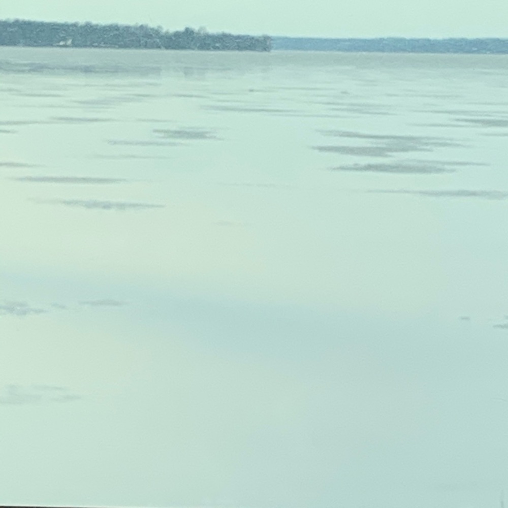 Meet your Posher, Bailey